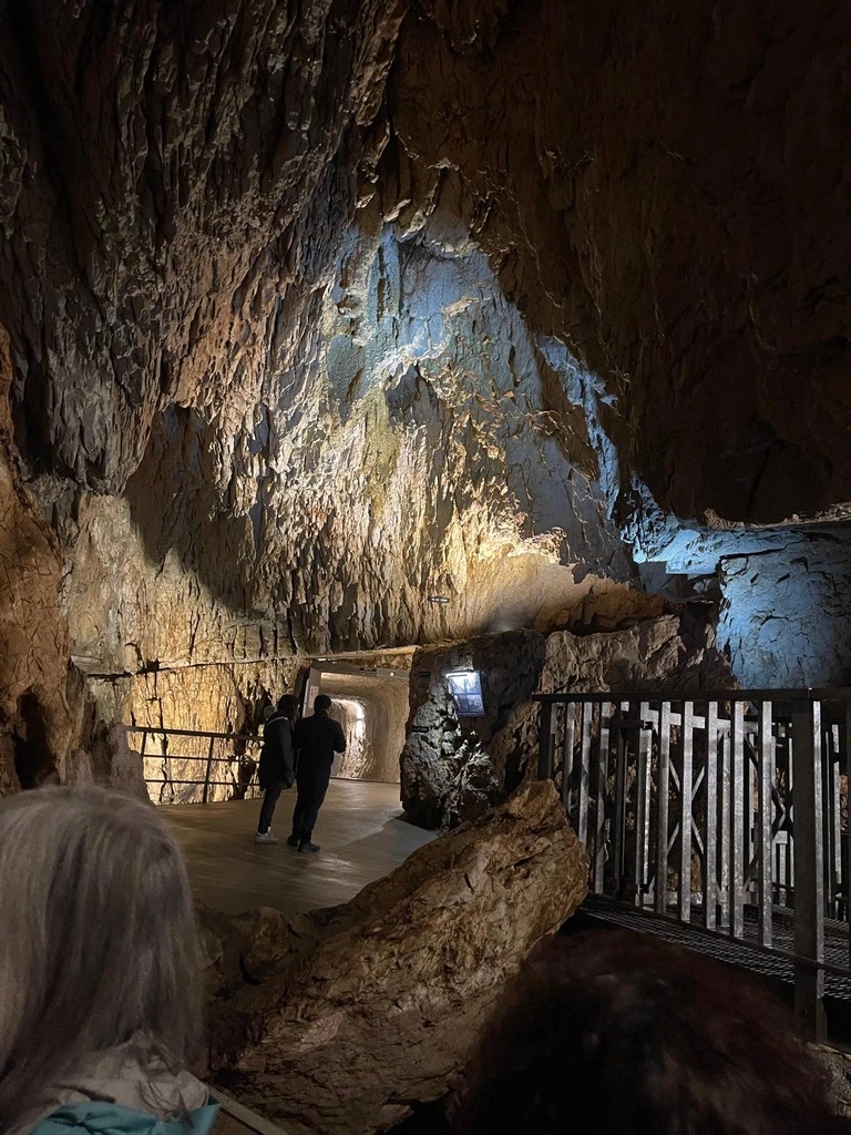 Un groupe de personnes explore une grotte faiblement éclairée avec des parois rocheuses accidentées et une passerelle en bois.