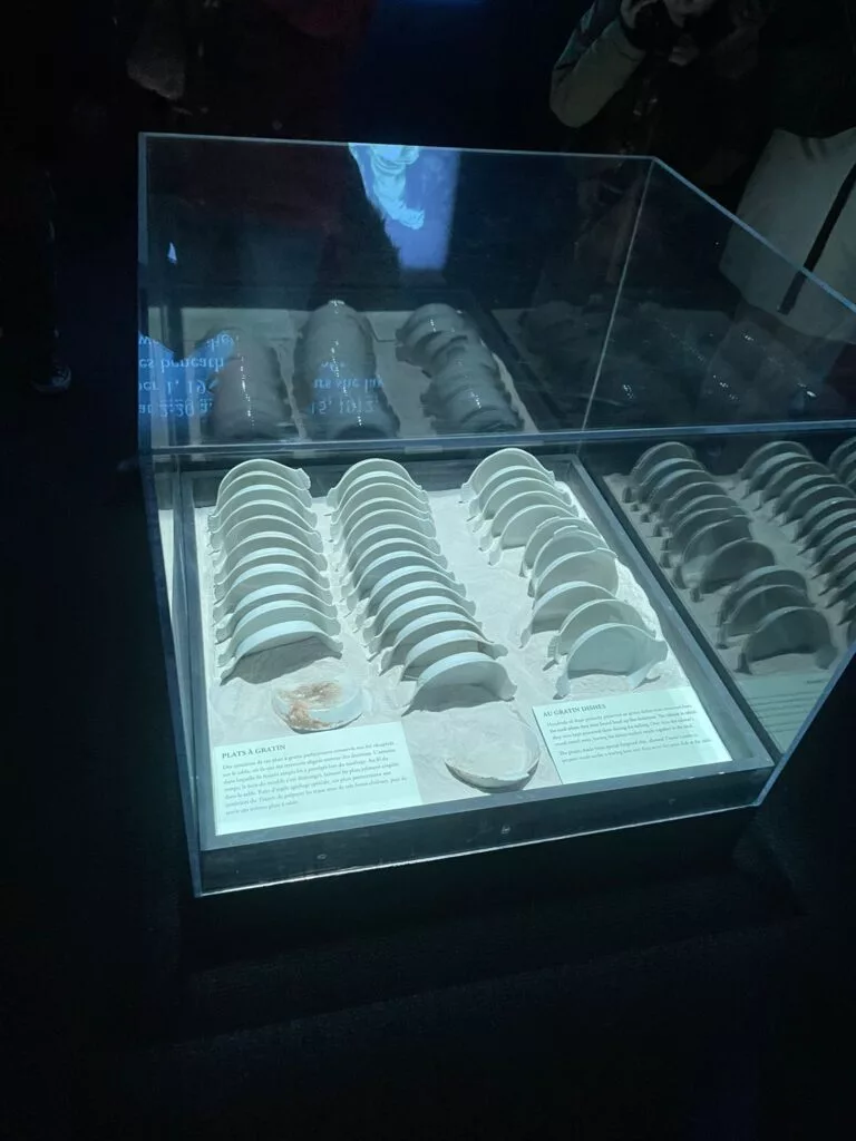 Présentation de formations minérales blanches et fossilisées sous verre, disposées en rangées avec des panneaux d'information dans une exposition faiblement éclairée.